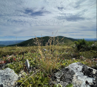 Хребет Тукурингра Зейский муниципальный округ