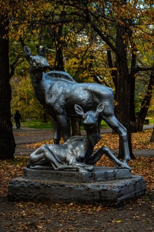 Городской парк культуры и отдыха г. Благовещенск