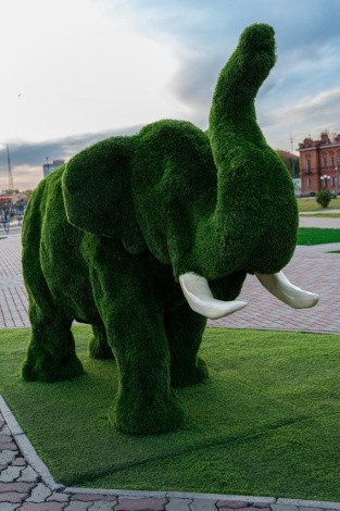 Набережная г. Благовещенск