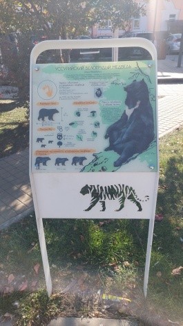 Сквер "Бабочка" г. Благовещенск