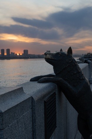 Памятник собаке Дружок г. Благовещенск