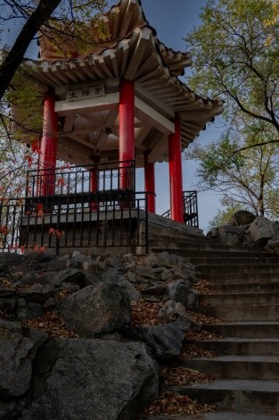 Парк Дружбы г. Благовещенск