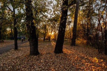 Городской парк культуры и отдыха г. Благовещенск