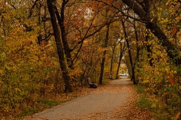 Первомайский парк культуры и отдыха г. Благовещенск