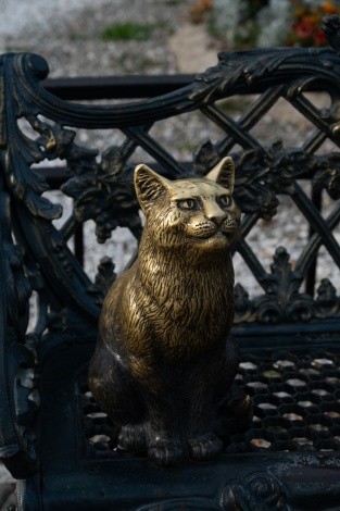 Памятник Невозмутимому коту г. Благовещенск