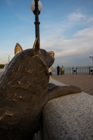 Памятник собаке Дружок г. Благовещенск