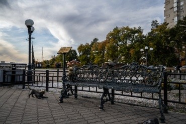 Памятник Невозмутимому коту г. Благовещенск