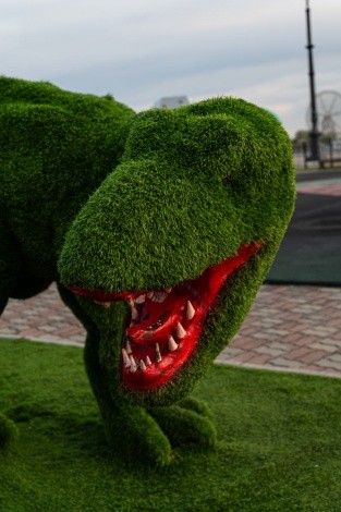 Набережная г. Благовещенск