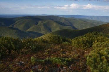 Зейский заповедник Зейский муниципальный округ
