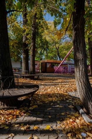 Городской парк культуры и отдыха г. Благовещенск