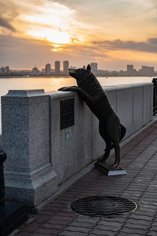 Памятник собаке Дружок г. Благовещенск