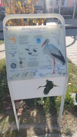 Сквер "Бабочка" г. Благовещенск