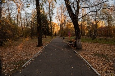 Городской парк культуры и отдыха г. Благовещенск