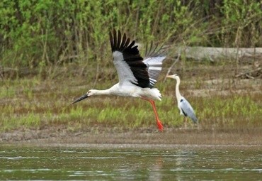 Норский заповедник
