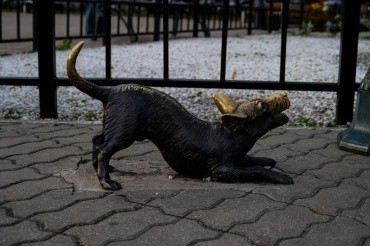 Памятник Невозмутимому коту г. Благовещенск