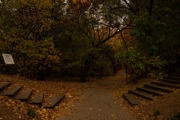 Первомайский парк культуры и отдыха г. Благовещенск