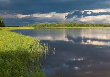 Хинганский заповедник