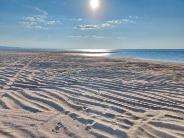 Дикий пляж «Золотые пески» пос. Снежногорский Зейский муниципальный округ