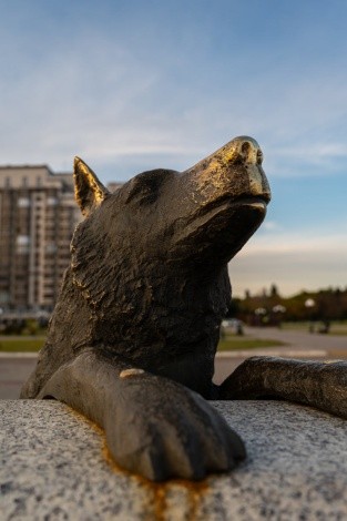 Памятник собаке Дружок г. Благовещенск