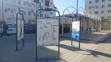 Сквер "Бабочка" г. Благовещенск