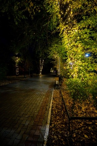 Городской парк культуры и отдыха г. Благовещенск