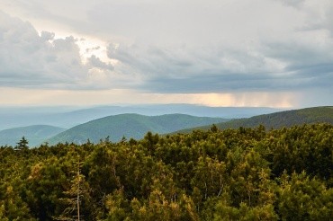 Хребет Тукурингра Зейский муниципальный округ