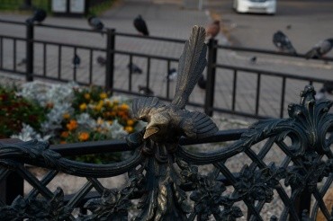 Памятник Невозмутимому коту г. Благовещенск