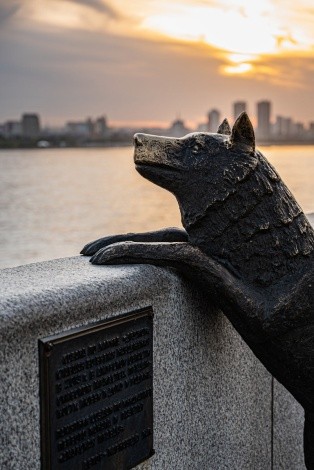 Памятник собаке Дружок г. Благовещенск