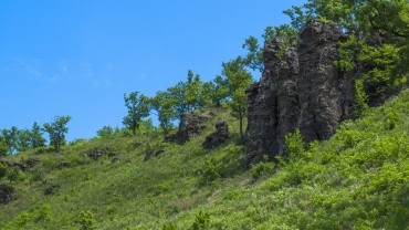 Михайловские столбы