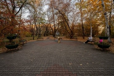 Городской парк культуры и отдыха г. Благовещенск