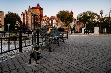 Памятник Невозмутимому коту г. Благовещенск