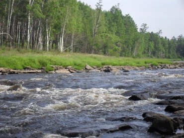 Хинганский заповедник