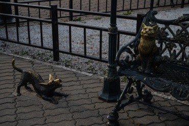 Памятник Невозмутимому коту г. Благовещенск