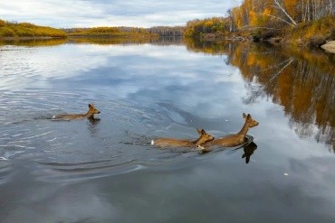 Норский заповедник