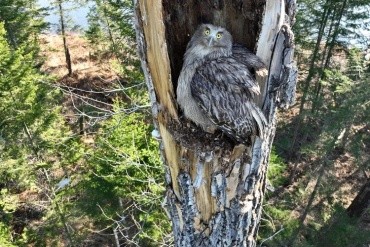 Норский заповедник