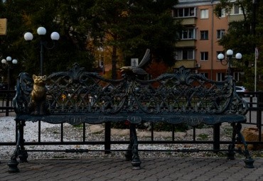 Памятник Невозмутимому коту г. Благовещенск