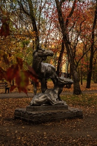 Городской парк культуры и отдыха г. Благовещенск