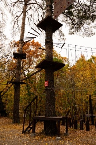 Первомайский парк культуры и отдыха г. Благовещенск