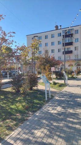 Сквер "Бабочка" г. Благовещенск