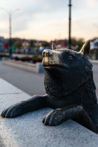 Памятник собаке Дружок г. Благовещенск