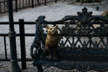 Памятник Невозмутимому коту г. Благовещенск