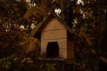 Первомайский парк культуры и отдыха г. Благовещенск