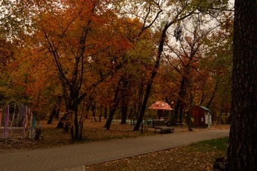 Первомайский парк культуры и отдыха г. Благовещенск